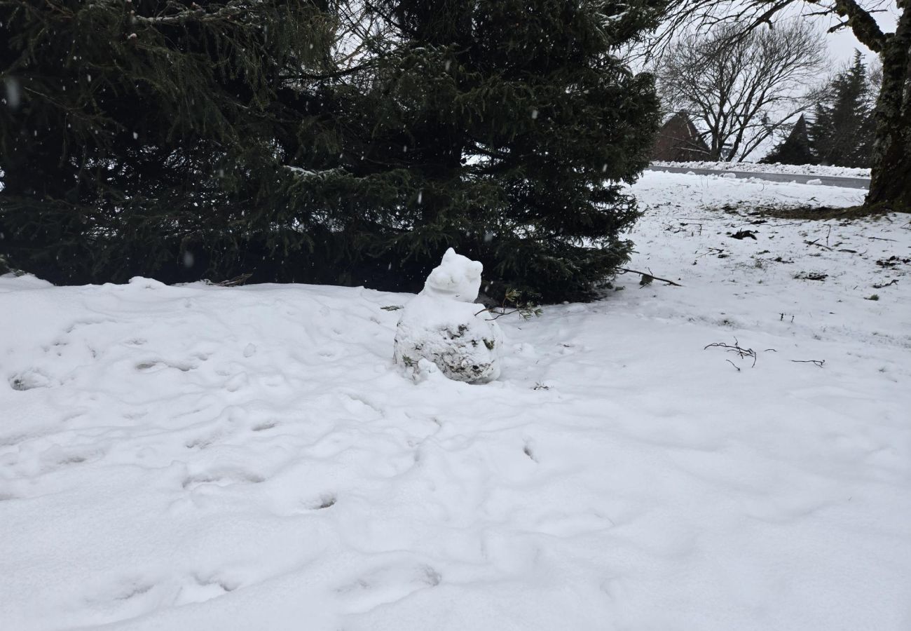 Chalet à Besse-et-Saint-Anastaise - CHAL La Sapinière