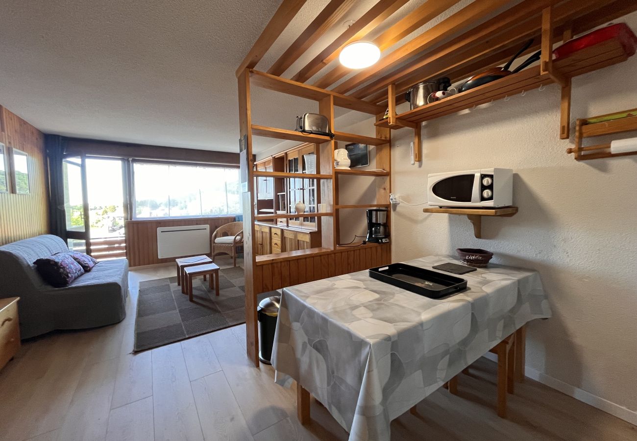 Studio à Besse-et-Saint-Anastaise - STUD - 202D paill