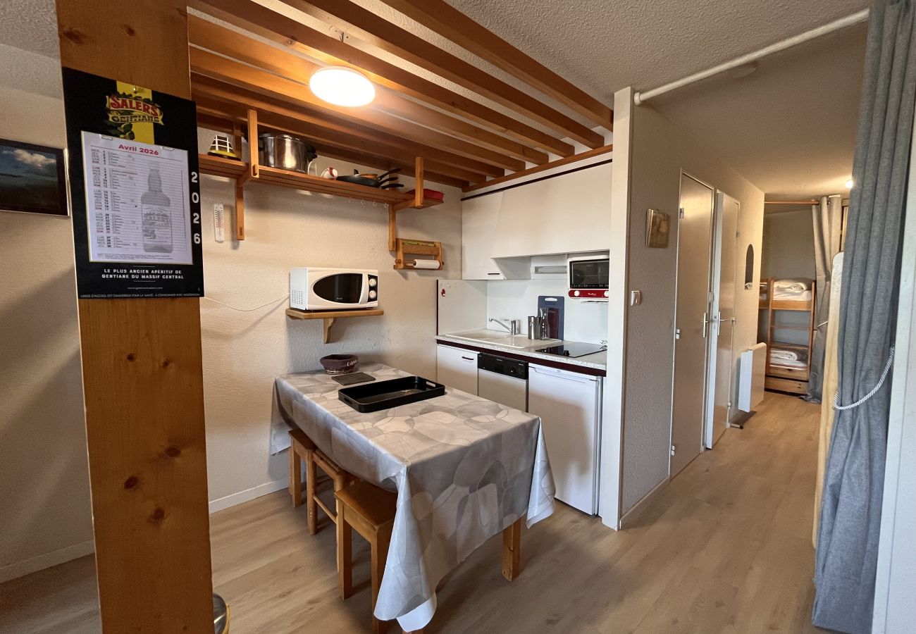 Studio à Besse-et-Saint-Anastaise - STUD - 202D paill