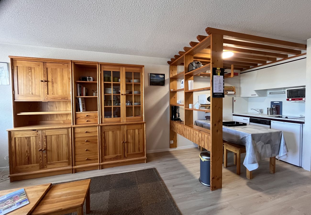 Studio à Besse-et-Saint-Anastaise - STUD - 202D paill