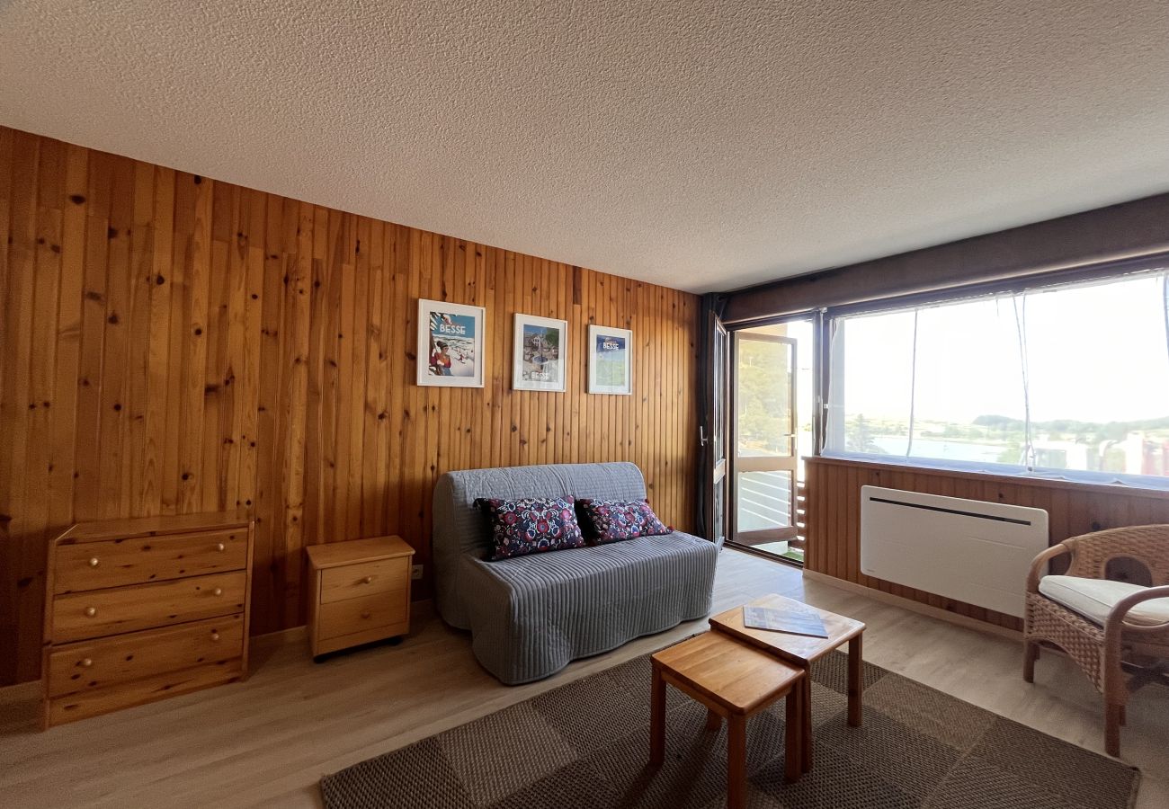 Studio à Besse-et-Saint-Anastaise - STUD - 202D paill