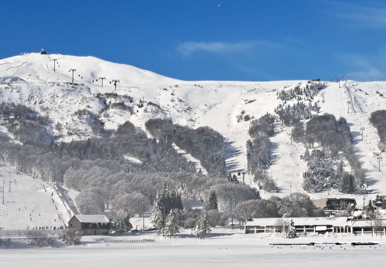 Appartement à Besse-et-Saint-Anastaise - APPA Le Cocon du Pavin