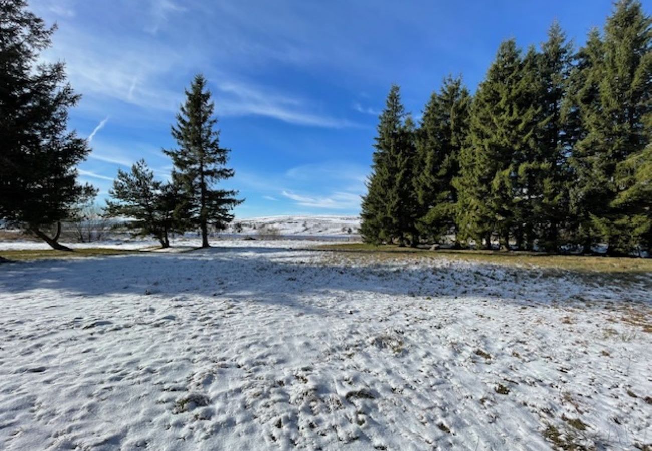 Appartement à Besse-et-Saint-Anastaise - APPA JONCQUILLES ( Choupissons)