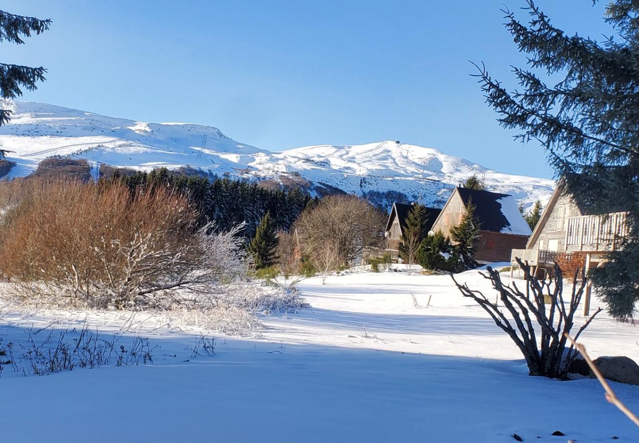 Appartement à Besse-et-Saint-Anastaise - APPA JONCQUILLES ( Choupissons)