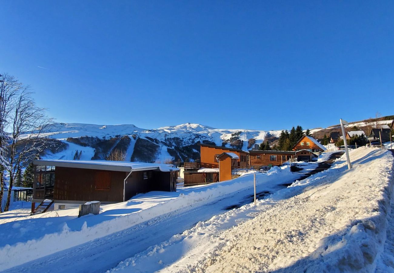 Appartement à Besse-et-Saint-Anastaise - APPA JONCQUILLES ( Choupissons)