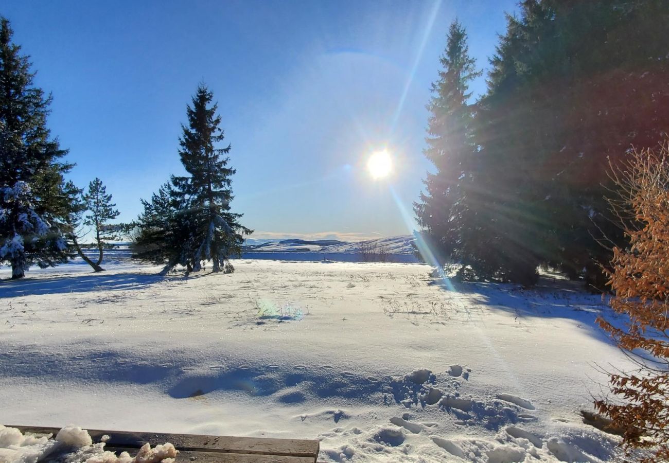 Appartement à Besse-et-Saint-Anastaise - APPA JONCQUILLES ( Choupissons)