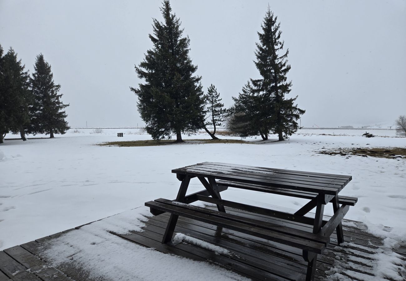 Appartement à Besse-et-Saint-Anastaise - APPA JONCQUILLES ( Choupissons)