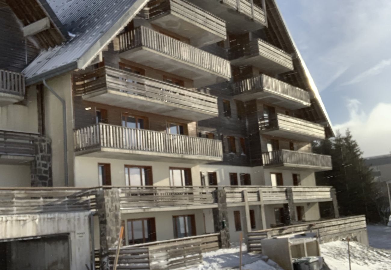 Appartement à Besse-et-Saint-Anastaise - APPA 4149A LMDS