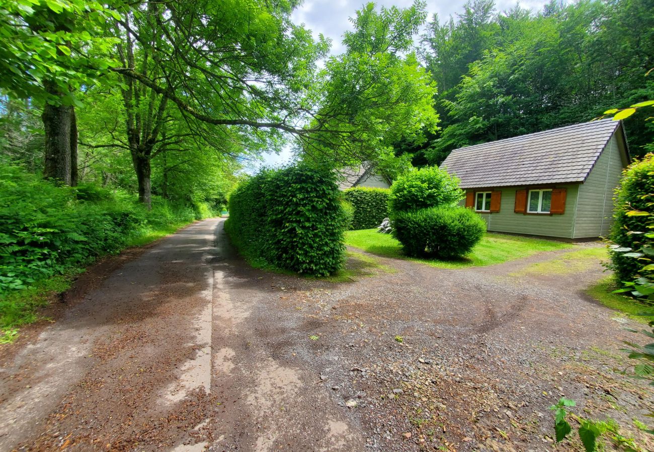 Chalet à Murol - CHAL GROTTE DU LOUP 1