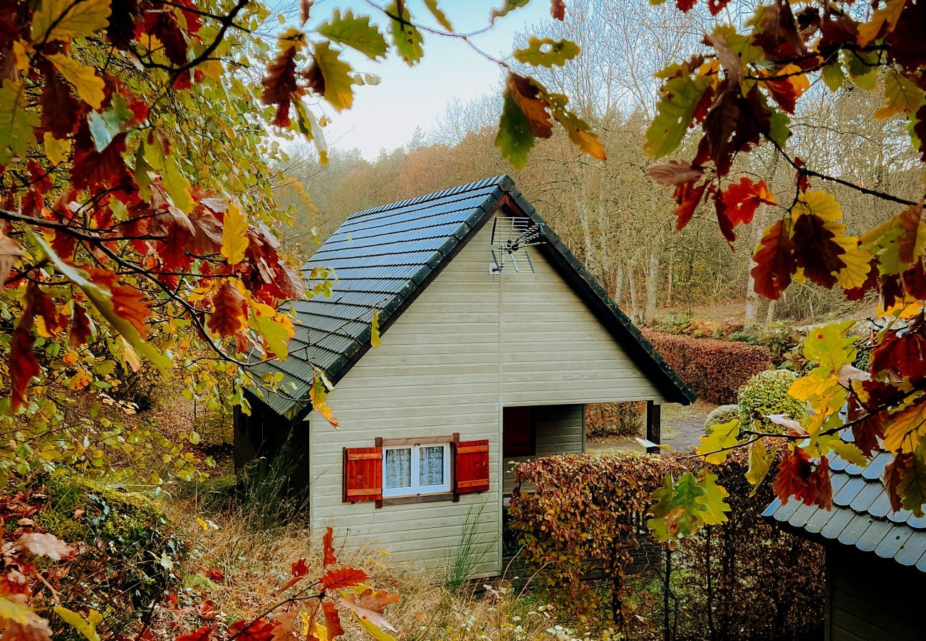 Chalet à Murol - CHAL GROTTE DU LOUP 1