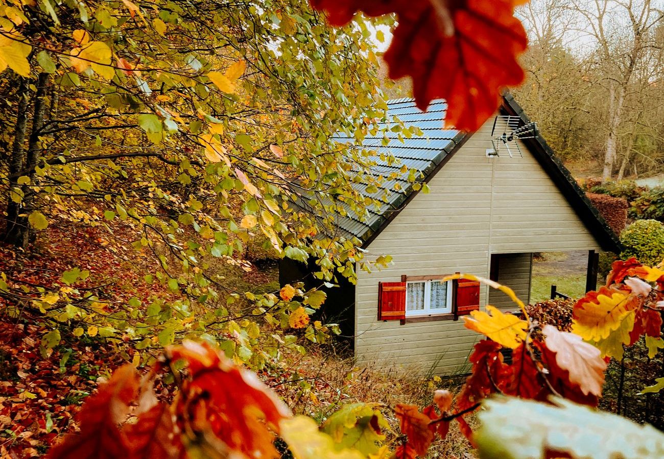 Chalet à Murol - CHAL GROTTE DU LOUP 1