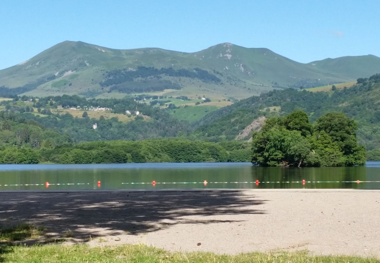 Chalet à Chambon-sur-Lac - Chal Chalet des Millevaches