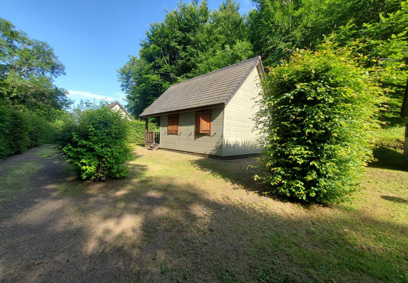 Chalet à Murol - CHAL GROTTE DU LOUP 3