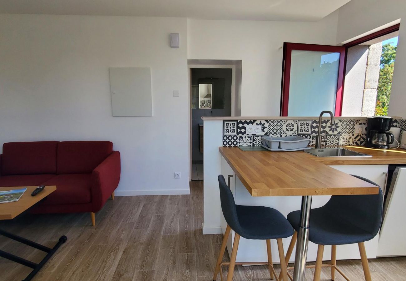 Appartement à Murol - APPA Manoir Fleury 1