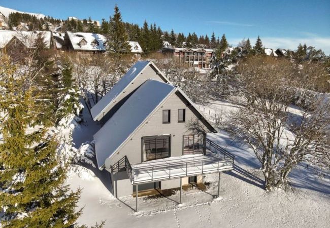 Chalet à Besse-et-Saint-Anastaise - CHAL Des CERFS