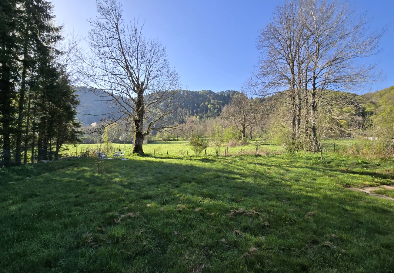 Chalet à Chambon-sur-Lac - CHAL VOISSIERES