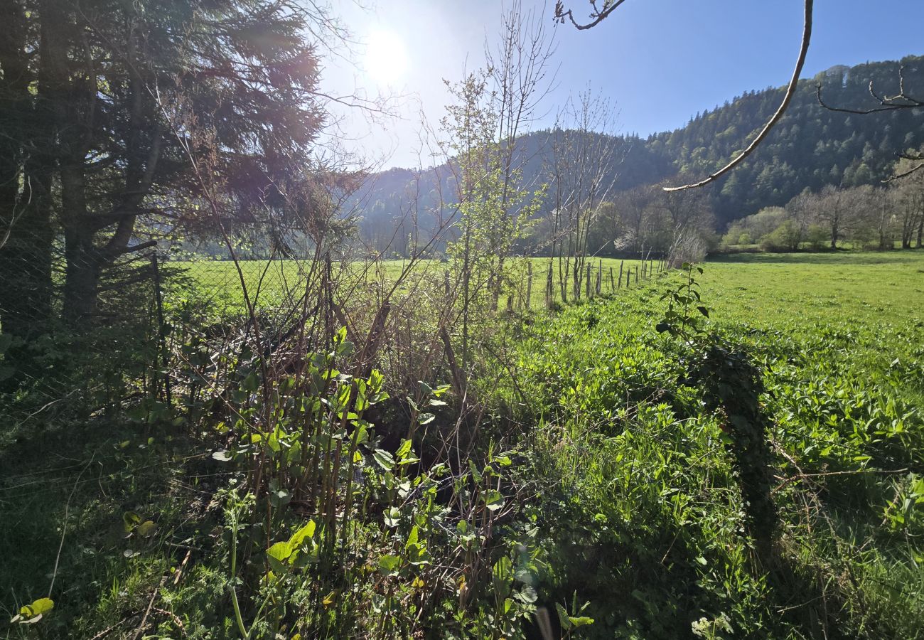 Chalet à Chambon-sur-Lac - CHAL VOISSIERES