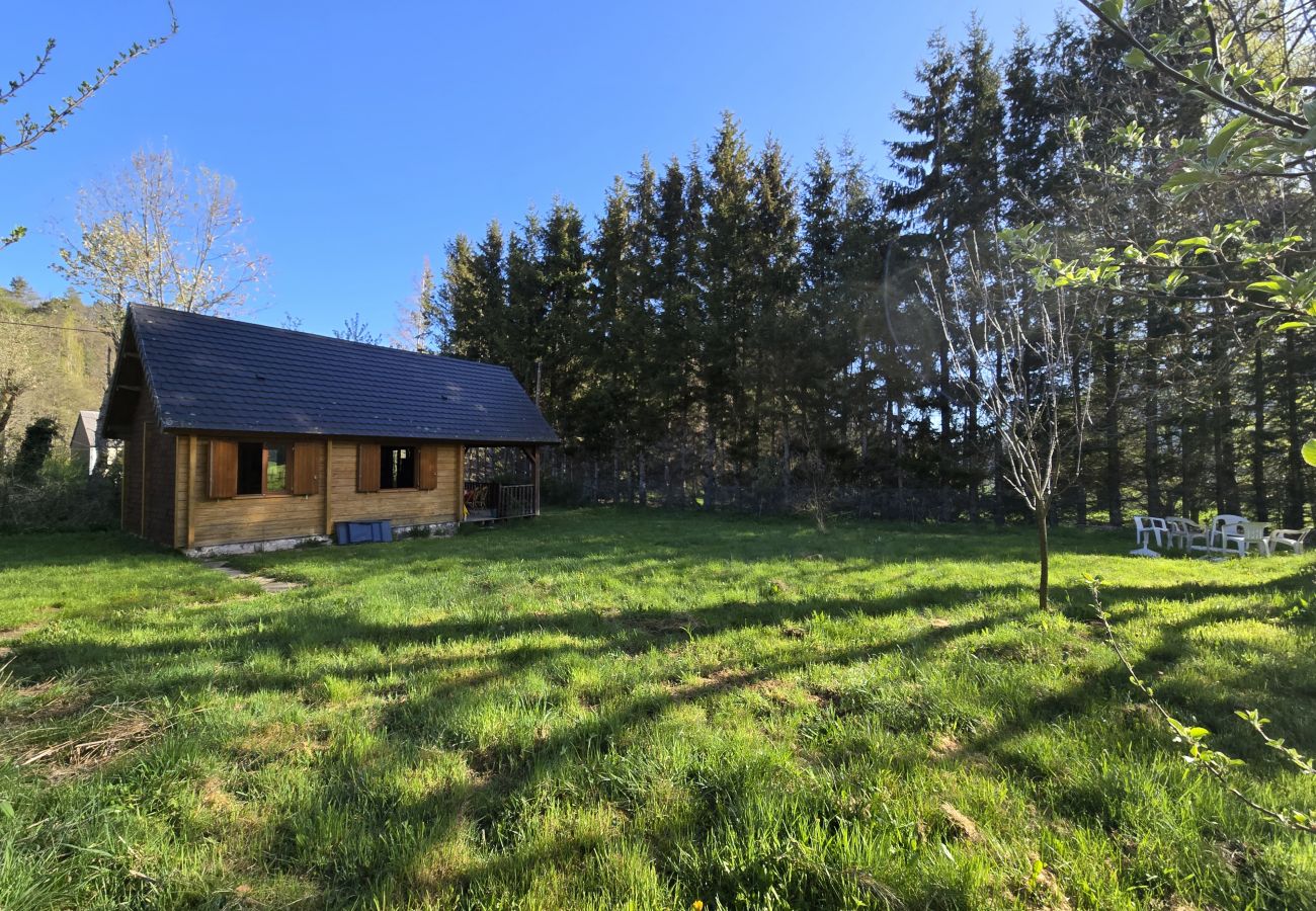Chalet à Chambon-sur-Lac - CHAL VOISSIERES