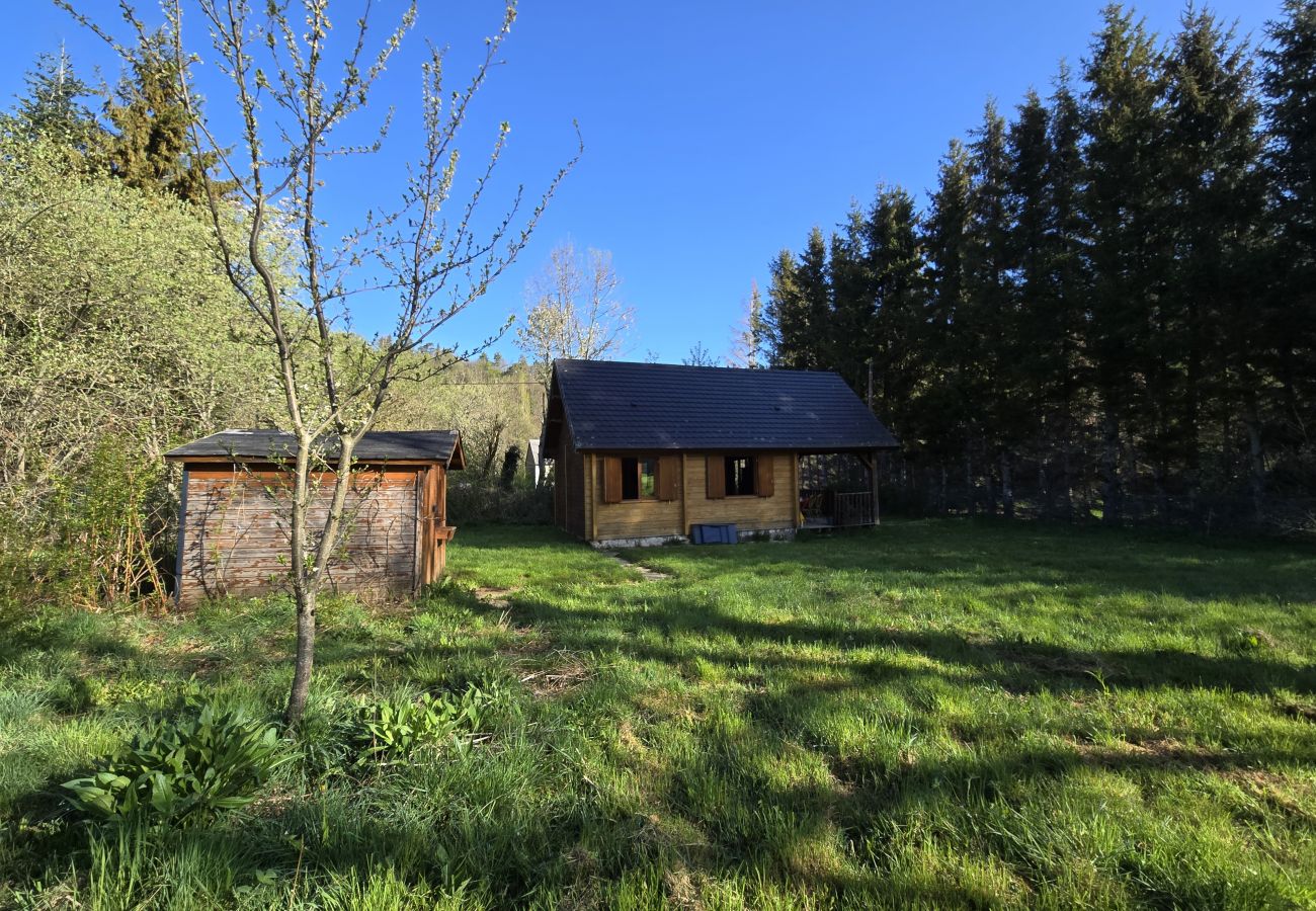 Chalet à Chambon-sur-Lac - CHAL VOISSIERES