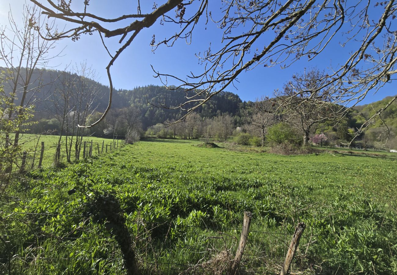 Chalet à Chambon-sur-Lac - CHAL VOISSIERES
