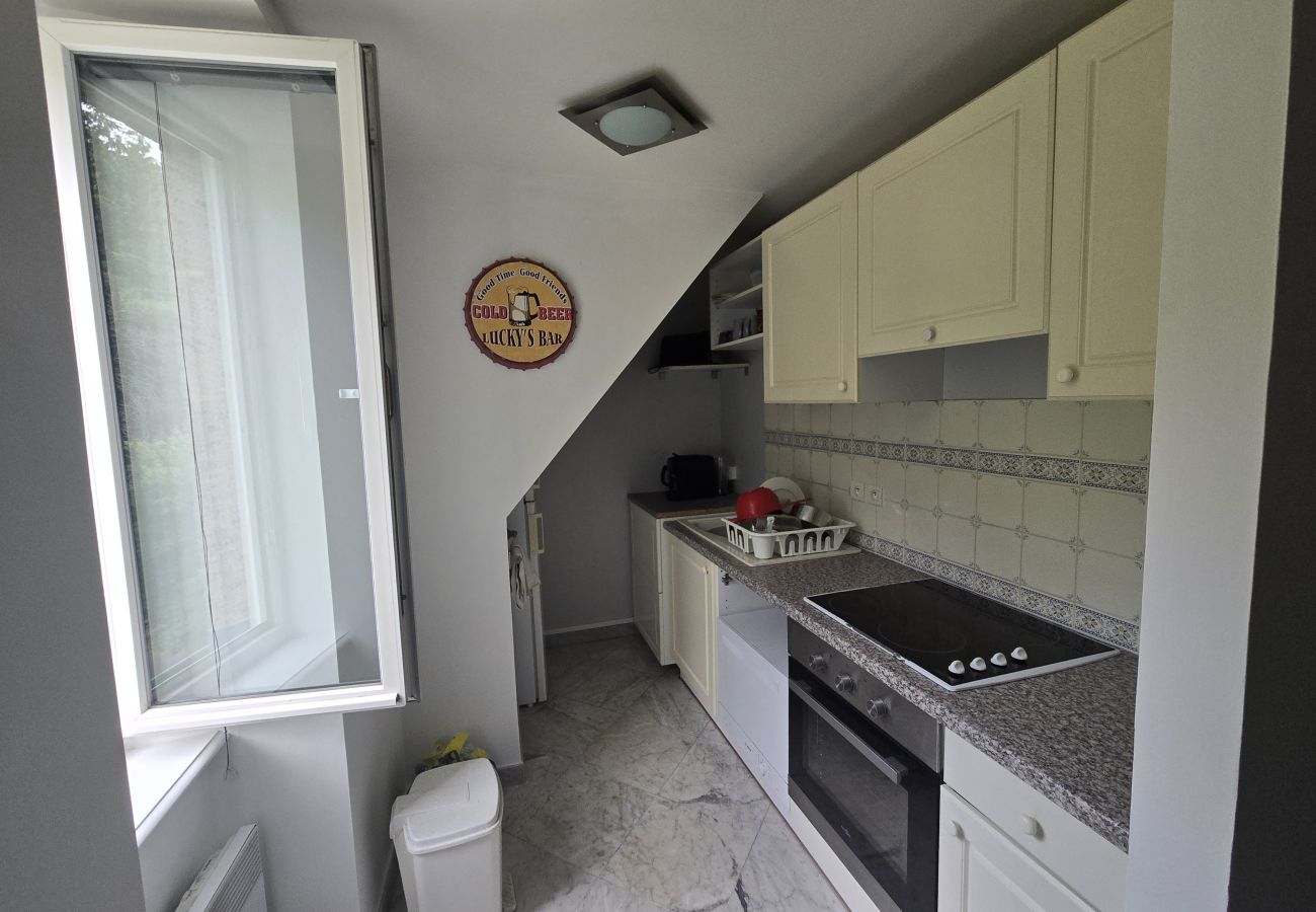 Appartement à Saint-Nectaire - APPA Le 46 du Parc