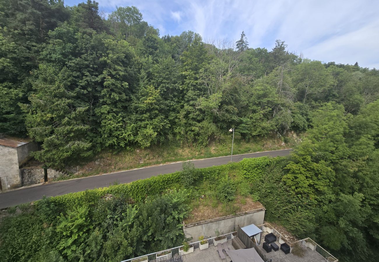 Appartement à Saint-Nectaire - APPA Le 46 du Parc