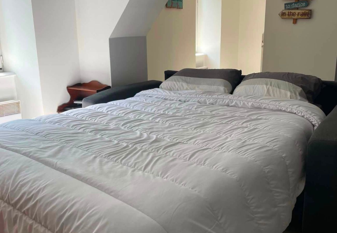 Appartement à Saint-Nectaire - APPA Le 46 du Parc